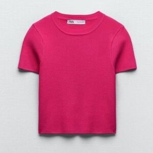 Zara Basics | Size S | Fine Knit Dark Pink Tee